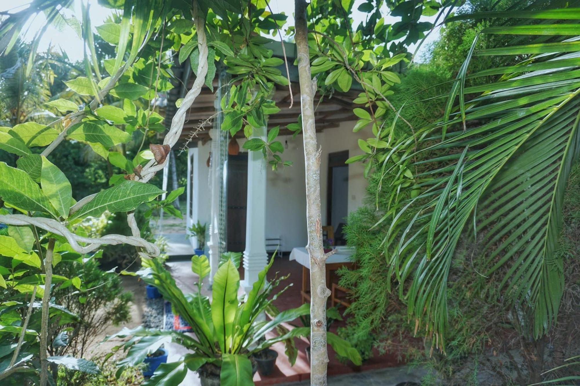 Sashini Homestay Szigirija Kültér fotó